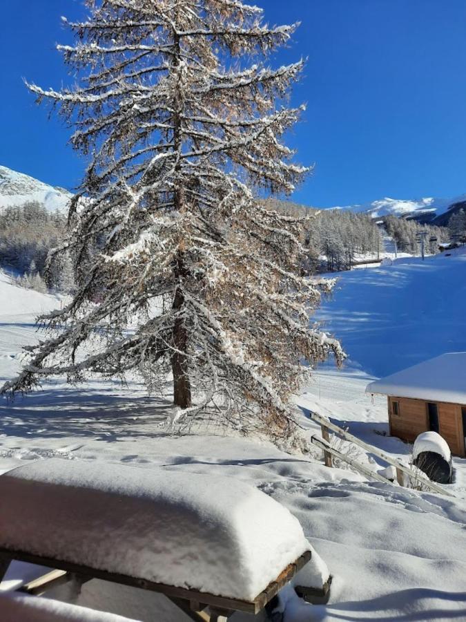 Chaletauxorres Au Pied Des Pistes Et Skis Aux Pieds Villa Les Orres Exterior foto